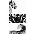 Miniatyrbillede 4 af 4: Apple iPhone 13 Pro Tegnebogsetui Leopard Faces