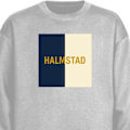 Miniatyrbilde 1 av 3: Sweatshirt for Voksen | Klassisk Collegegenser Halmstad – fo grå XXL