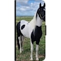 Pikkukuva 3 / 3: Samsung Galaxy Note20 Lompakkokotelo Hevosen Taika - tyylikäs