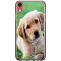 Pikkukuva 1 / 2: Apple iPhone XR Läpinäkyvä kuori Koira