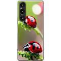 Pikkukuva 1 / 3: Sony Xperia 1 VI Läpinäkyvä kuori Leppäkerttu Hyönteinen Onni Symboli Luontoaihe Suosittu Graafinen Motiivi Koristelu Kesäkiertue