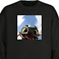 Miniatyrbillede 1 af 3: Sweatshirt til Børn | Blød & Klassisk Sweatshirt Drage træner sort one size
