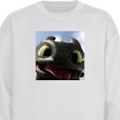 Miniatyrbillede 1 af 3: Sweatshirt til Børn | Blød & Klassisk Sweatshirt Hvordan træner du din drage hvid one size