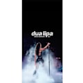 Miniatyrbillede 4 af 4: Apple iPhone 13 Pro Tegnebogsetui Dua Lipa – Signature Looks & Vibes