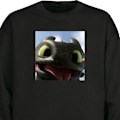 Miniatyrbillede 1 af 3: Sweatshirt til Voksne | Klassisk Collegebluse Hvordan træner du din drage sort L