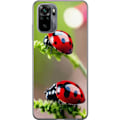 Pikkukuva 1 / 3: Xiaomi Redmi Note 10 Läpinäkyvä kuori Leppäkerttu Hyönteinen Onni Symboli Luontoaihe Suosittu Graafinen Motiivi Koristelu Kesäkiertue