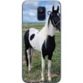 Pikkukuva 1 / 3: Samsung Galaxy A6 (2018) Läpinäkyvä kuori Hevosen Taika - t