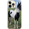 Pikkukuva 1 / 3: Apple iPhone 14 Pro Max Läpinäkyvä kuori Hevosen Taika - ty