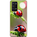 Pikkukuva 1 / 3: Realme GT Neo 3T Läpinäkyvä kuori Leppäkerttu Hyönteinen Onni Symboli Luontoaihe Suosittu Graafinen Motiivi Koristelu Kesäkiertue