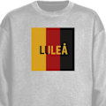 Miniatyrbillede 1 af 3: Sweatshirt til Voksne | Klassisk Collegebluse Luleå - Hockey grå M