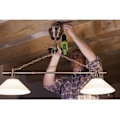 Miniatyrbillede 4 af 6: Perceuse - Fieldmann - FDV 10252-A