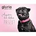 Miniatyrbild 2 av 2: Krage - GLORIA - Nubuckläder - Blå - Justerbar - D-Ring Blå