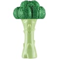 Miniatyrbillede 2 af 2: Kæmpe legetøj - NYLABONE - Broccoli - Bacon Smag - Holdbar - Til hunde op til 23 kg Grön