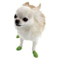 Miniatyrbillede 2 af 3: Bottes til Hund - PAWZ - Tiny - Grøn Citrons - Vandtæt - Biologisk Nedbrydelig Limegrön