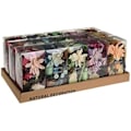 Miniatyrbild 1 av 2: Parfym Flower Box EDM 83905 - Flerfärgad mångfärgad