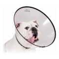 Miniatyrbillede 1 af 3: KVP Isabelino beskyttelseshalsbånd til hunde Saf-T-Clear Transparent (15-23 cm) - 0742061547024