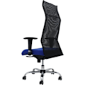 Miniatyrbillede 3 af 3: PIQUERAS Y CRESPO Model Sahuco - Ergonomisk kontorstol med synkron mekanisme og justerbar i højden