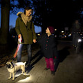 Miniatyrbillede 2 af 4: Lampe Led Belysningssystem Sort Sort