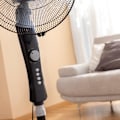 Pikkukuva 2 / 4: Jalustatuuletin - InnovaGoods - Breezinn - 45 W - Oscillation - 3 nopeutta - Musta Svart