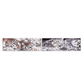 Miniatyrbillede 1 af 3: Ramme DKD Home Decor Pin Tiger Stof (2 stk) (135 x 2.5 x 45 cm)