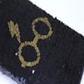 Miniatyrbillede 3 af 4: Notebooks - CERDA - Harry Potter - Black and Gold Sequins - A5 Size - Blank Pages Svart och guld