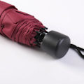 Miniatyrbillede 3 af 4: HARRY POTTER - Gryffindor - Sammenfoldelig Paraply 53 cm