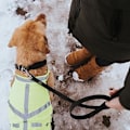Miniatyrbillede 2 af 2: HUNTER hundesnor - 120cm sort bælte i vand- og rivefast nylon sort