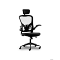 Miniatyrbillede 2 af 3: Urban Factory Ergo ESC05UF ergonomisk stol (sort) Svart