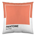 Miniatyrbillede 2 af 2: pudebetræk bred c pantone lokalisering-b086jpw2vb vendbar (50 x 50 cm)