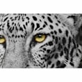 Miniatyrbild 4 av 4: ram 67 x 3 x 93 cm kolonial djungel (3 stycken)