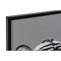 Miniatyrbillede 2 af 4: ramme 67 x 3 x 93 cm kolonijungle (3 stk.)