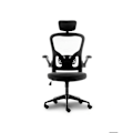 Miniatyrbillede 1 af 3: Urban Factory Ergo ESC05UF ergonomisk stol (sort)