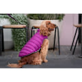 Pikkukuva 3 / 4: Käännettävä toppatakki - Red Dingo - 25 cm - Vedenpitävä - Vaaleanpunainen ja violetti - Neopreeni ja fleece rose, violet