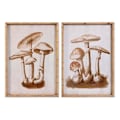 Miniatyrbillede 1 af 3: glasramme 50 x 70 x 2,8 cm 50 x 2,8 x 70 cm svampe (2 enheder)