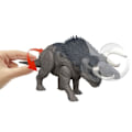 Pikkukuva 2 / 6: SAGA NASUTOCERATOPS SONORE