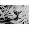 Miniatyrbillede 3 af 4: ramme 100 x 2,5 x 100 cm kolonileopard (2 enheder)