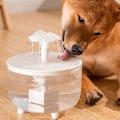 Miniatyrbild 4 av 4: Automatisk cirkulerande vattenfontän för katter, intelligent vattenautomat för husdjur, rinnande vatten för kattungar, vit PET-kåpa PET white cap trumpet