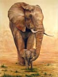 30x40cm 5D DIY Diamantmålning Full, Elefant#G, DIY Diamant Rhin