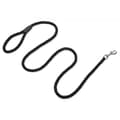 Nylon Dog Leash, 5 Feet Long