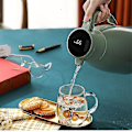 Miniatyrbild 3 av 4: Isolerad vattenkokare med glasfoder, extra lång isolering, termos, hemmakaffe grön green 1900ml
