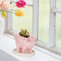 Miniatyrbild 4 av 5: Keramisk dinosaurie planterkruka, suckulenta krukor, suckulent blomma Po