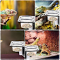 Miniatyrbillede 2 af 2: 1 Sæt Reptil Foderhylde med Sugeskål Reptil Vandfodrer Reptil Tank Tilbehør