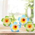 Miniatyrbillede 3 af 5: Qinhai 10 stk. Kunstig Blomst Realistisk Udseende Fade-Resistent Farverig Dekorativ Falsk Frangipani Blomst Fotograferingsrekvisitter Hjemmeforsyninger (Hvid)