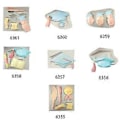 Miniatyrbillede 5 af 5: Fondantforme Chokoladeforme Slikforme Lerforme Graduerings-tema Formet Kagebageudstyr Silikonemateriale (6360)
