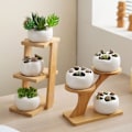 Miniatyrbillede 4 af 4: Trappe stil, pottet lille bambus stativ, skrivebord blomsterstativ, m
