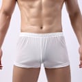 Miniatyrbild 3 av 5: Soutong Genomskinliga Herr Underkläder Solid Färg Mesh Garn Midja Transparent Tunn Boxer Underkläder (2XL Svart)