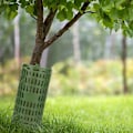 Miniatyrbillede 2 af 5: 10 stk. plantebeskyttere til beskyttelse af grøn bark, justerbar
