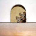 Miniatyrbillede 3 af 5: 3D vægklistermærker, 5 stk. musehul vægklistermærker realistiske musehul klistermærker til hjem soveværelse L