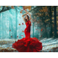 Pikkukuva 1 / 5: 30 x 40 cm, robe rouge femme Diamond Painting Broderie Diamant