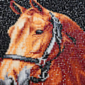 Miniatyrbilde 2 av 5: 5D Diamantmalerisett 30x40cm DIY Fargerik Hest Diamantkunst